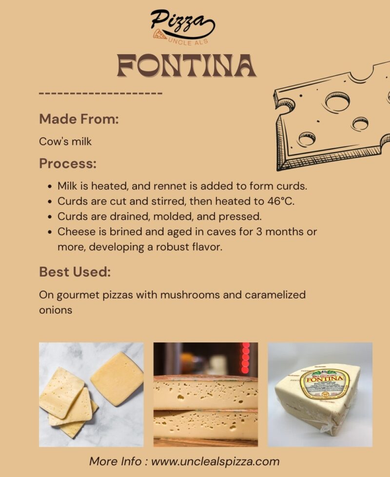 Fontina Cheese