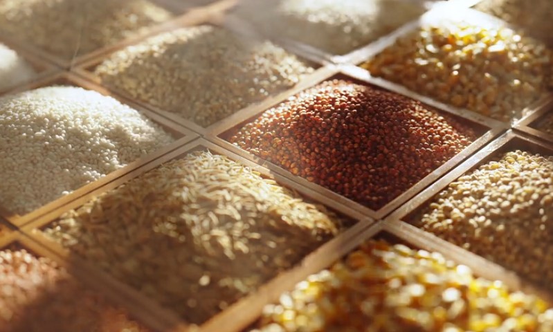 A box filled with a variety of grains, including rice, quinoa, and barley, showcasing their diverse textures and colors